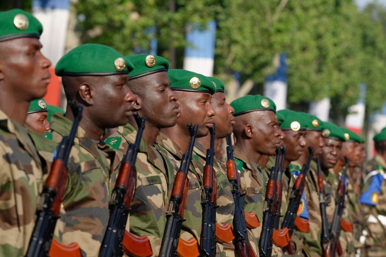 Malian Troops