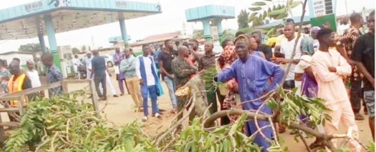 Falling Tree Kills Two, Injures Ten In Kwara
